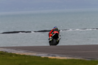 PJ-Motorsport-2019;anglesey-no-limits-trackday;anglesey-photographs;anglesey-trackday-photographs;enduro-digital-images;event-digital-images;eventdigitalimages;no-limits-trackdays;peter-wileman-photography;racing-digital-images;trac-mon;trackday-digital-images;trackday-photos;ty-croes